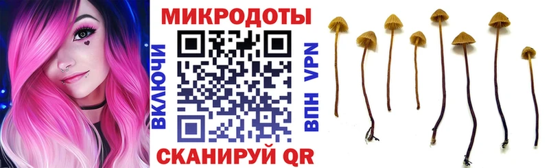Галлюциногенные грибы MAGIC MUSHROOMS  Купить закладки  Калач 